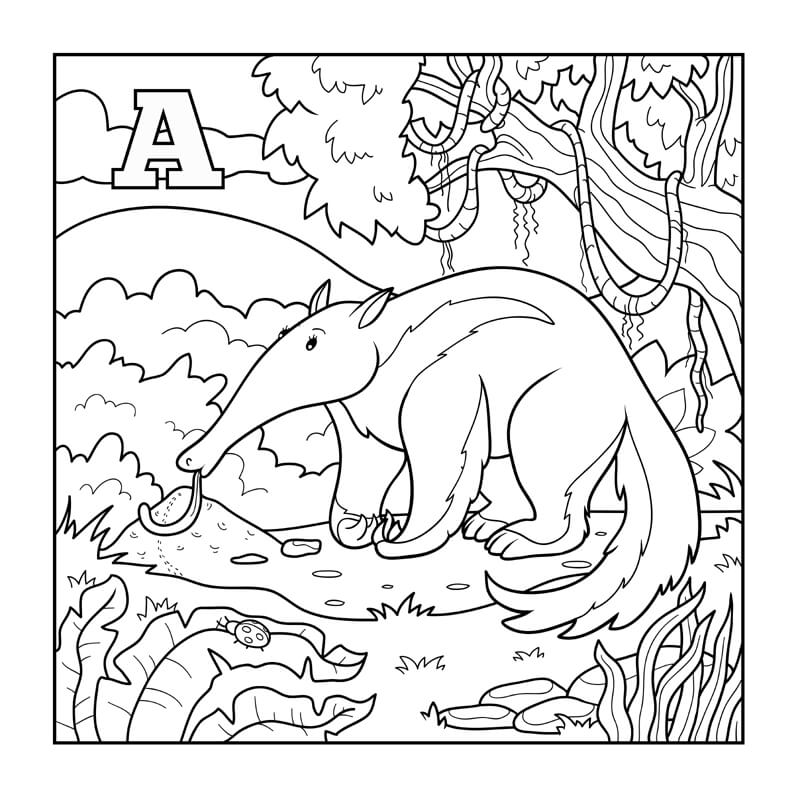 Download Anteater Facts - Animal That Starts With Letter A